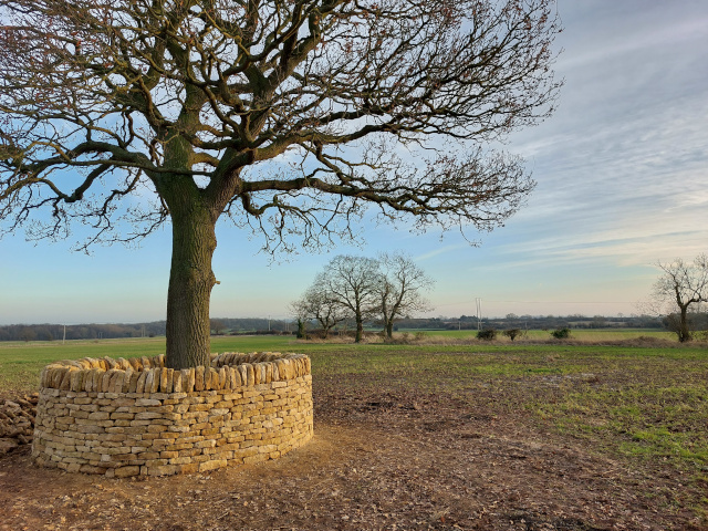 A circular dry stone wall in Nottinghamshire